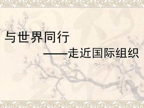 走近国际组织
