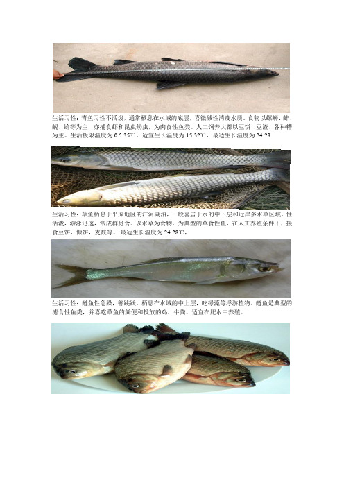 常见淡水鱼生活习性