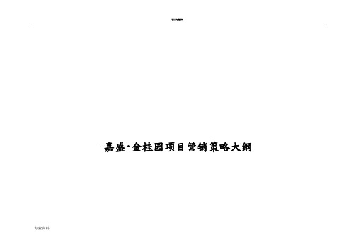 湘潭市某项目营销策略分析报告