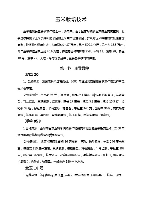 玉米栽培技术