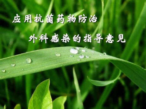 抗菌药物防治外科感染的指导意见 PPT课件