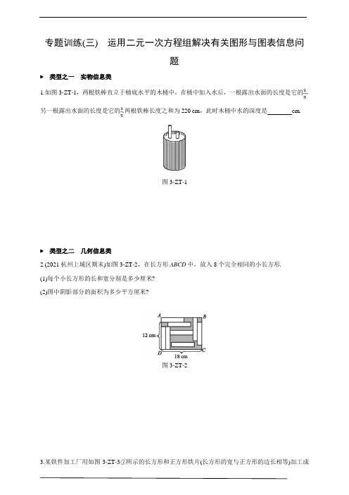 浙教版七年级(下)数学专题训练(三) 运用二元一次方程组解决有关图形与图表信息问题