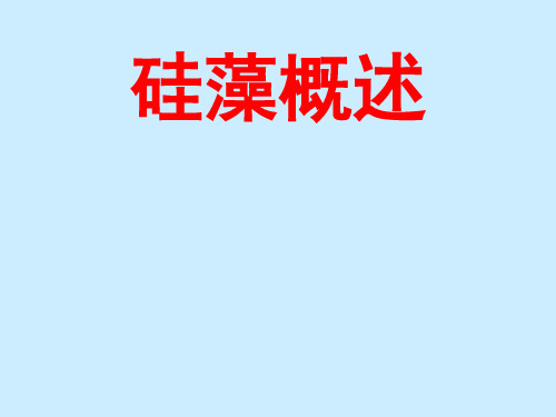 硅藻概述