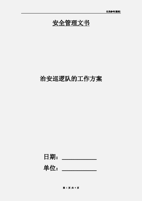 治安巡逻队的工作方案