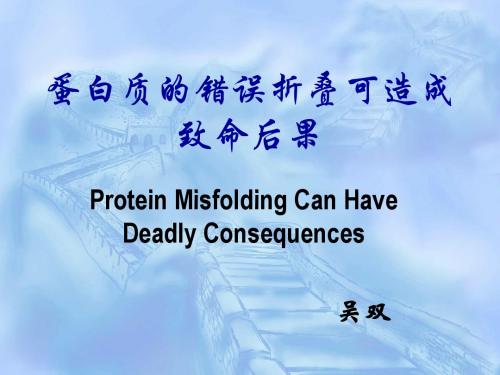 蛋白质的错误折叠可造成致命后果