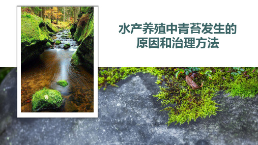青苔产生的原因和治理方法