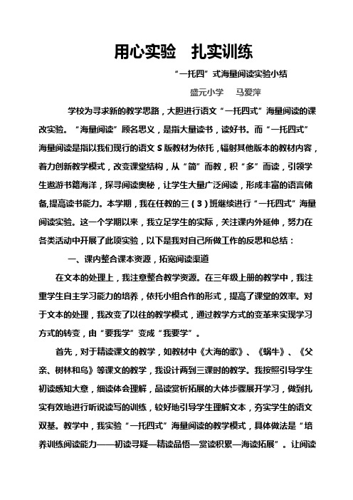 海量阅读课题总结
