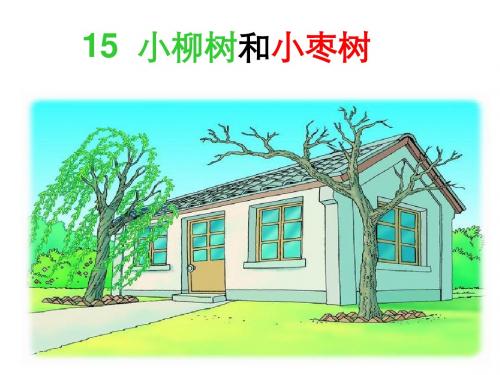 15《小柳树和小枣树》ppt
