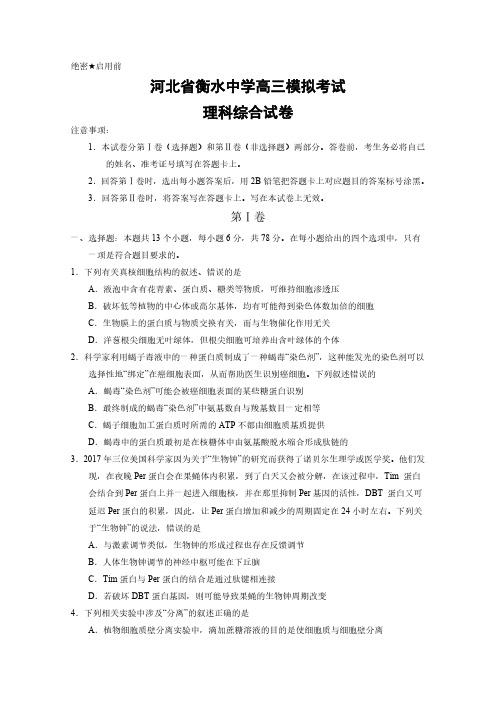 衡水中学高三模拟考试理科综合模拟试题含答案及答题纸