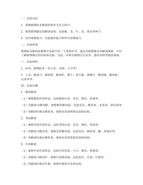 植物标本解剖实验报告