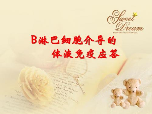 免疫学：B淋巴细胞介导的体液免疫应答