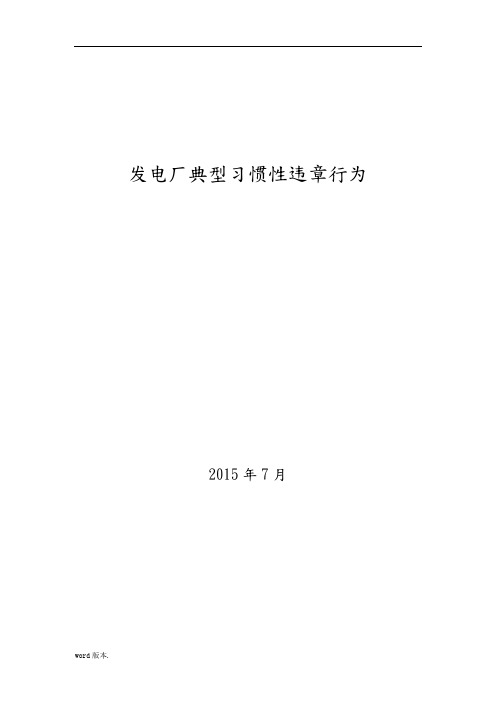 发电厂典型习惯性违章行为