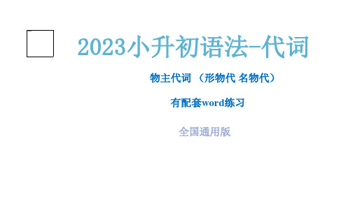 小升初英语语法-代词物主代词配套word习题全国通用版