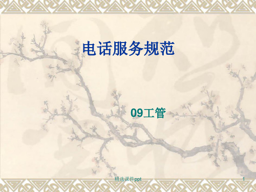 电话服务规范1ppt课件