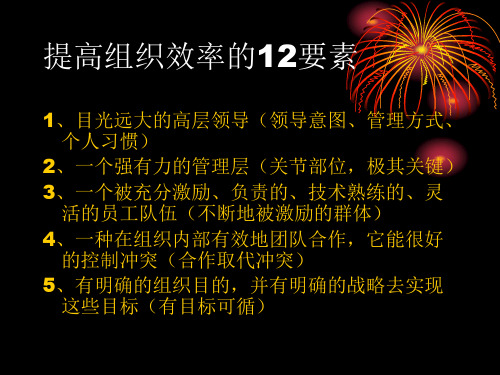 提高组织效率的12个要素
