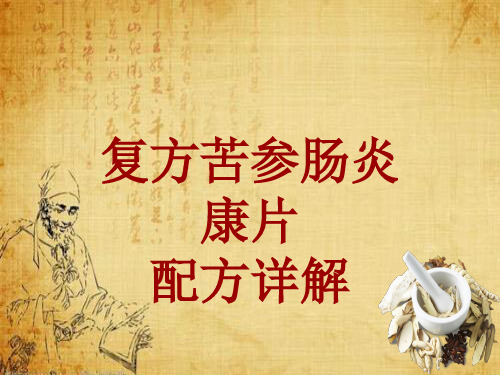 中成药配方详解：复方苦参肠炎康片