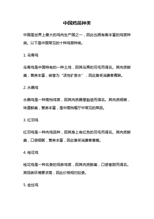 中国鸡苗种类
