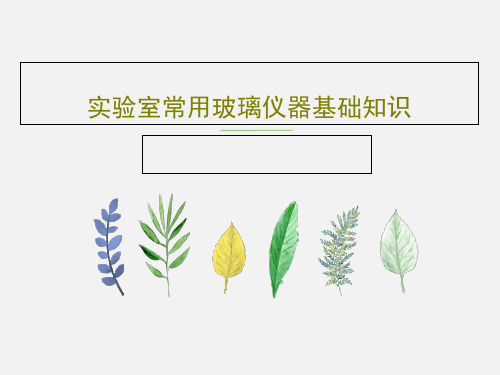实验室常用玻璃仪器基础知识42页PPT