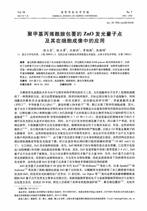 聚甲基丙烯酰胺包覆的ZnO发光量子点及其在细胞成像中的应用