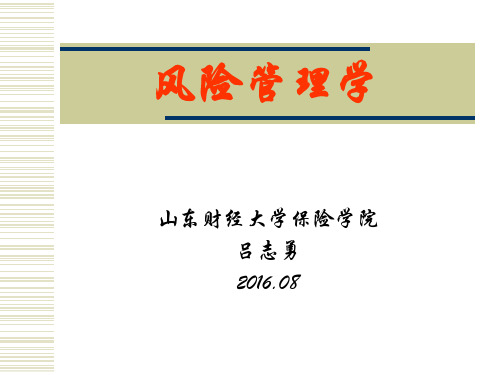 第1章-风险管理导论