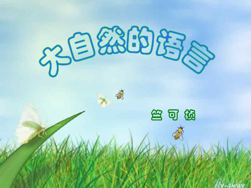 鲁教版语文初一七年级上册第19课《大自然的语言》ppt课件(5)