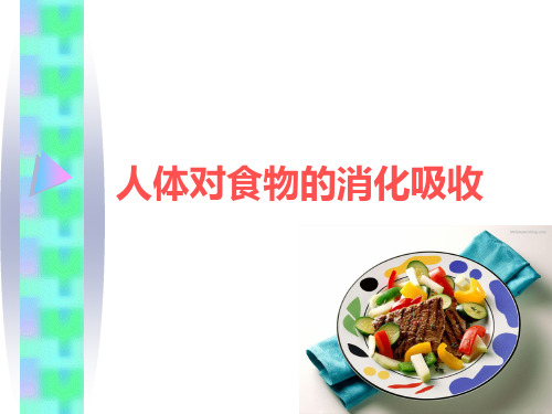 人体对食物的消化吸收精品PPT课件