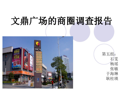 文鼎广场的商圈调查报告