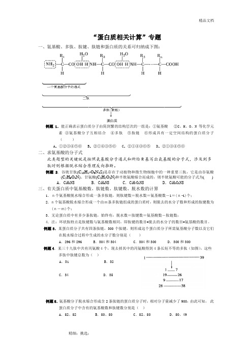 “蛋白质相关计算”专题