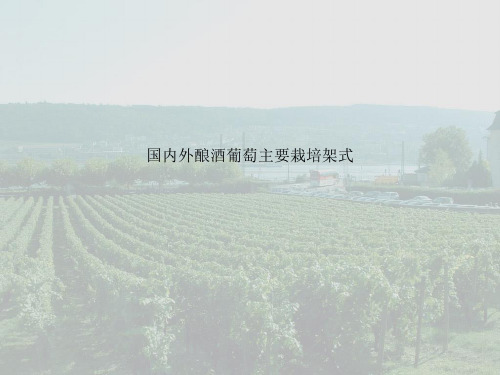 国内外酿酒葡萄主要栽培架式