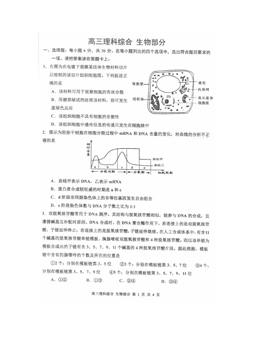 【2014红桥二模】天津市红桥区2014届高三第二次模拟考试 生物 扫描版含答案