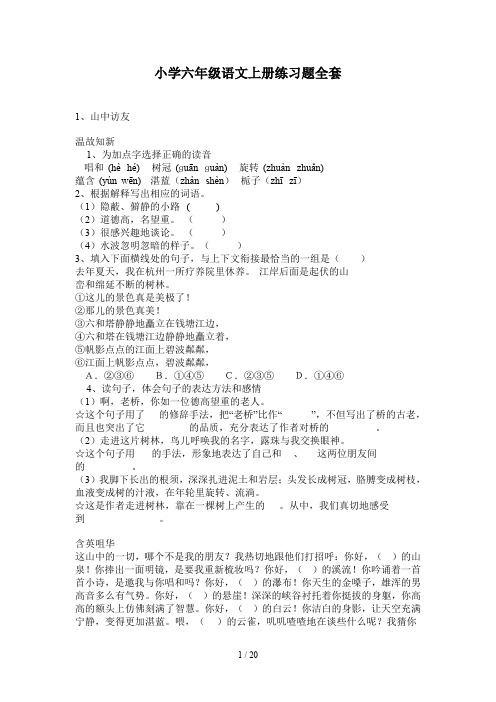 小学六年级语文上册练习题全套