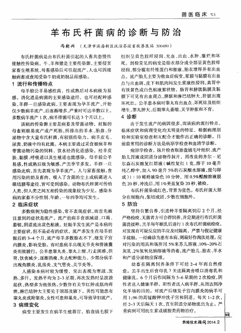 羊布氏杆菌病的诊断与防治