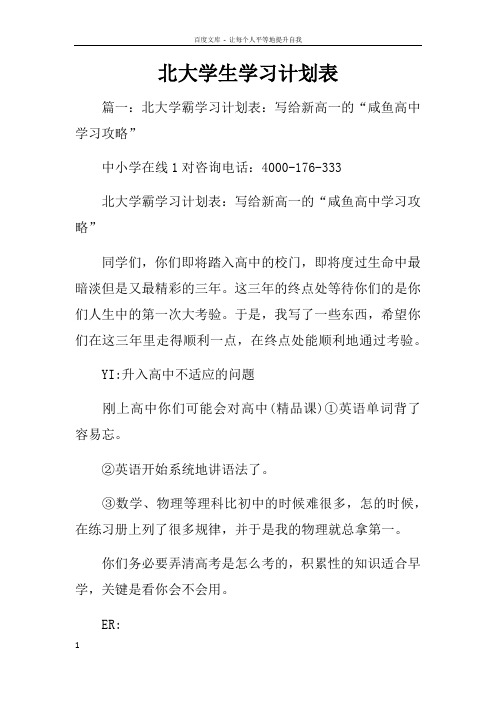 北大学生学习计划表