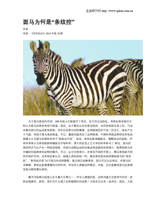 斑马为何是“条纹控”