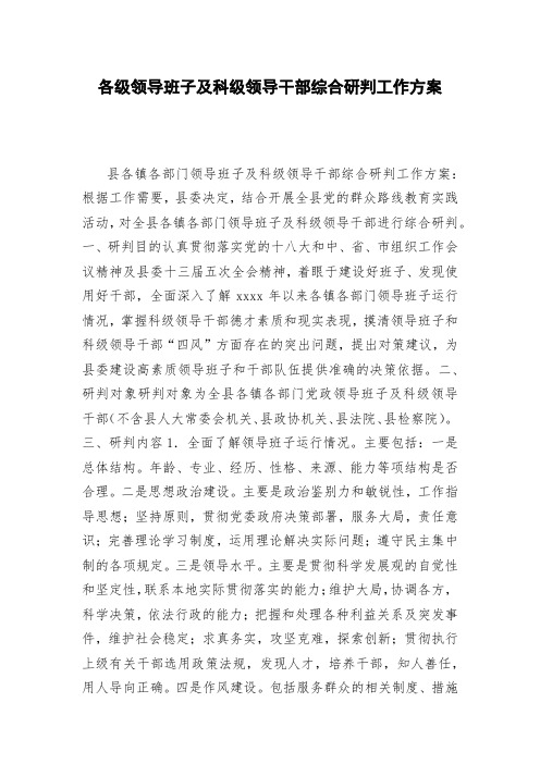 各级领导班子及科级领导干部综合研判工作方案