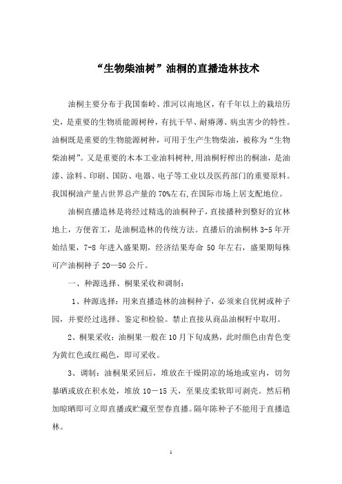 “生物柴油树”油桐的直播造林技术