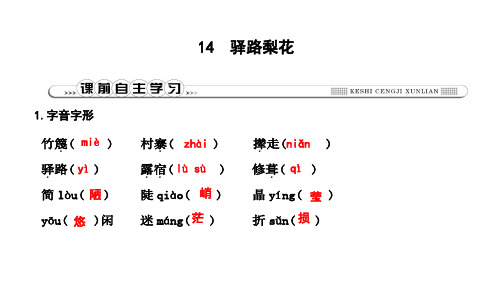 2019年春人教部编版七年级下册语文习题课件：14 驿路梨花(共21张PPT)