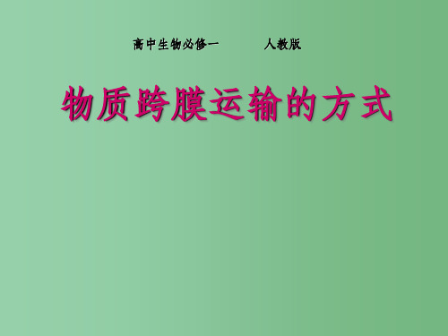 高中生物 第4章 细胞的物质输入和输出 第3节 物质跨膜运输方式课件 新人教版必修1
