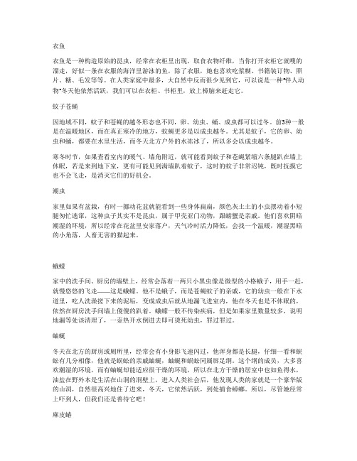 冬天虫子都去哪里了？