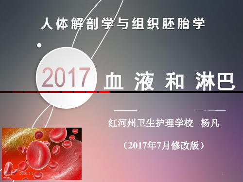 血液和淋巴PPT参考幻灯片