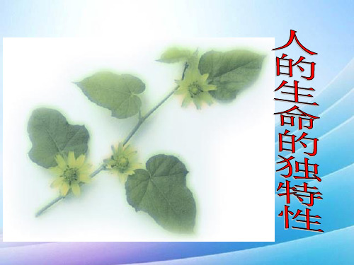 七年级政治人的生命的独特性课件新课标人教版最新实用版