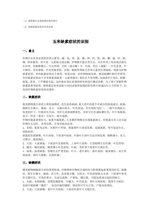 玉米缺素症状的识别