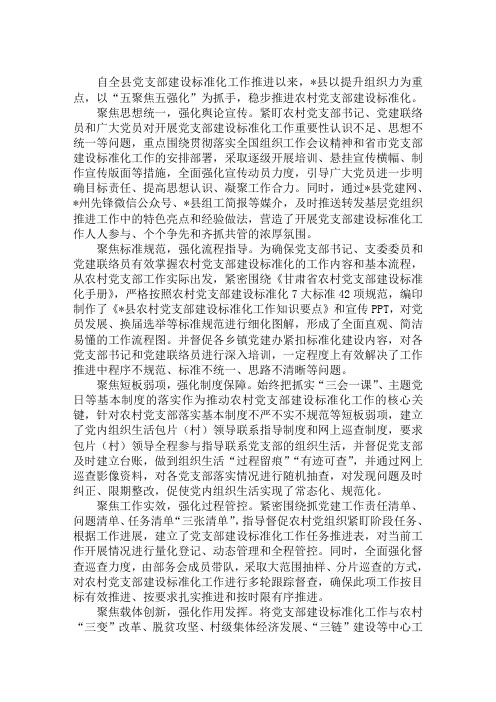 推进农村党支部建设标准化工作方案措施