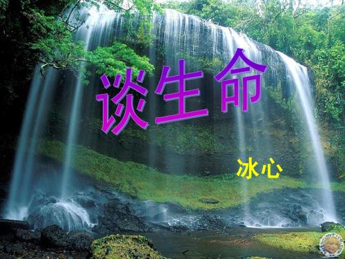 《谈生命》课件