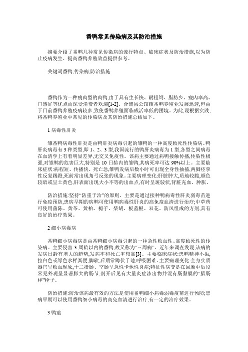 番鸭常见传染病及其防治措施