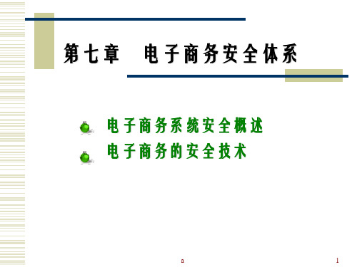 《电子商务安全体系》PPT课件