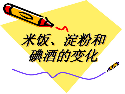 六年级下册科学课件-2.3 米饭、淀粉和碘酒的变化 ｜教科版 (共22张PPT)