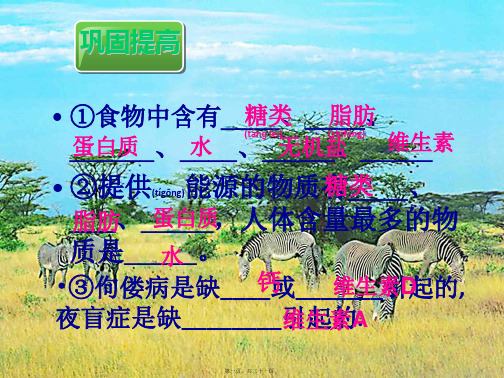 七年级生物下册 第二章 第二节 消化和吸收课件 