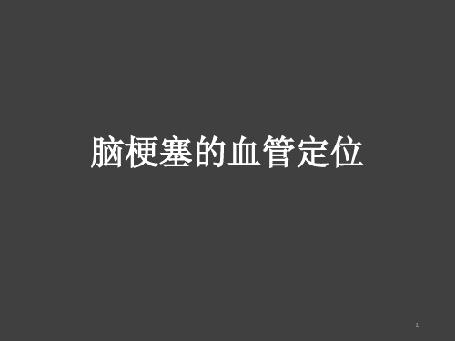 脑梗塞的血管定位PPT课件
