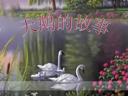 天鹅的故事教学精品PPT课件
